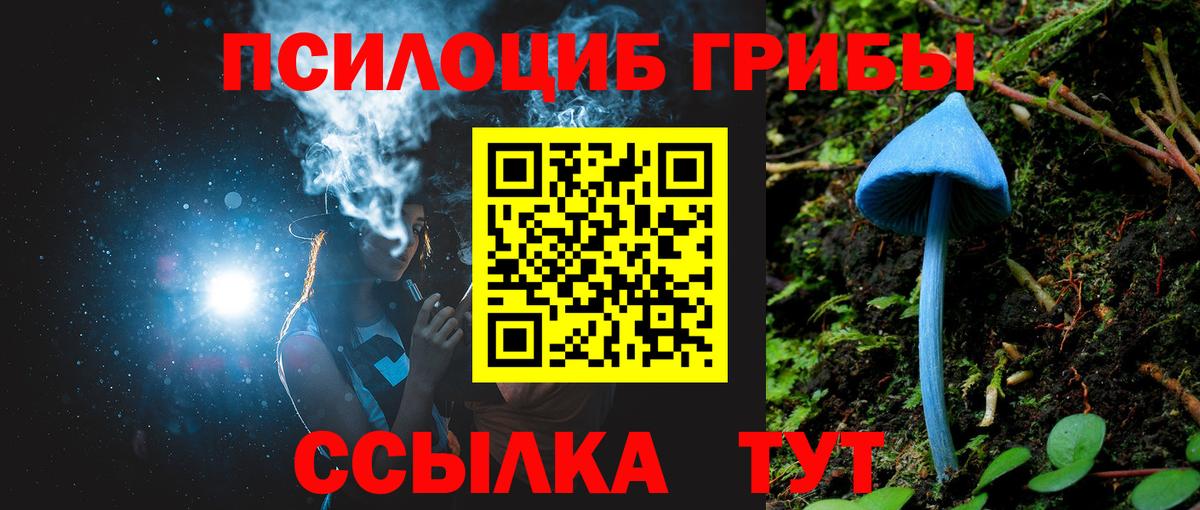 Псилоцибиновые грибы мицелий Будённовск